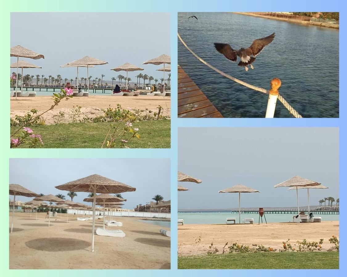 Scandic Resort: Comfy & Cozy. A433 * Hurghada