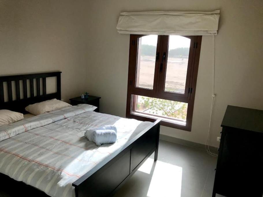 Sabina Y175
