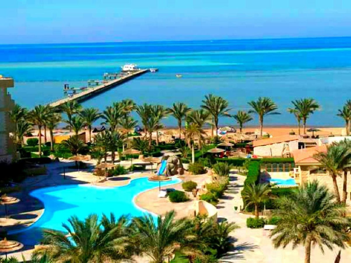 Palma Vision