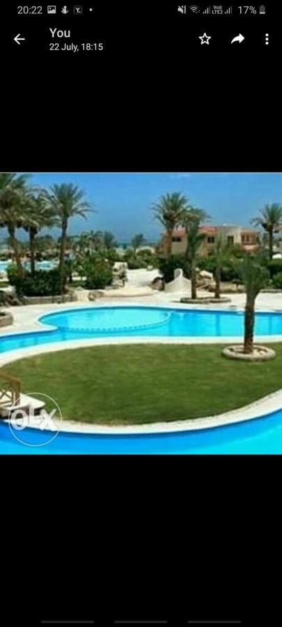 Diving Clubs *