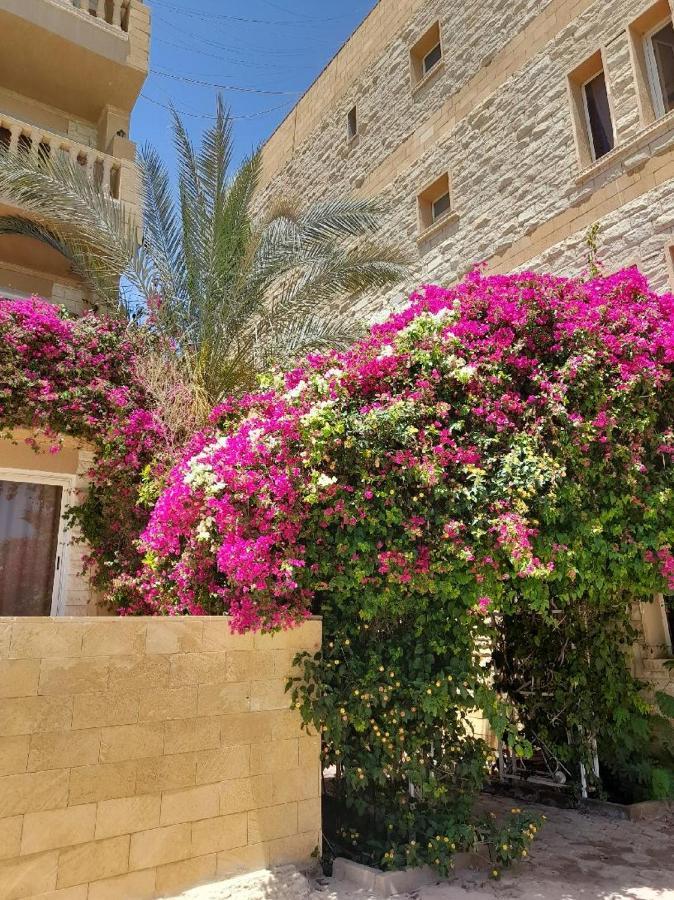 Palma Hurgada,8p4j22q, Palma Resort, K75, Al Ismaileya, Apartment Hurghada