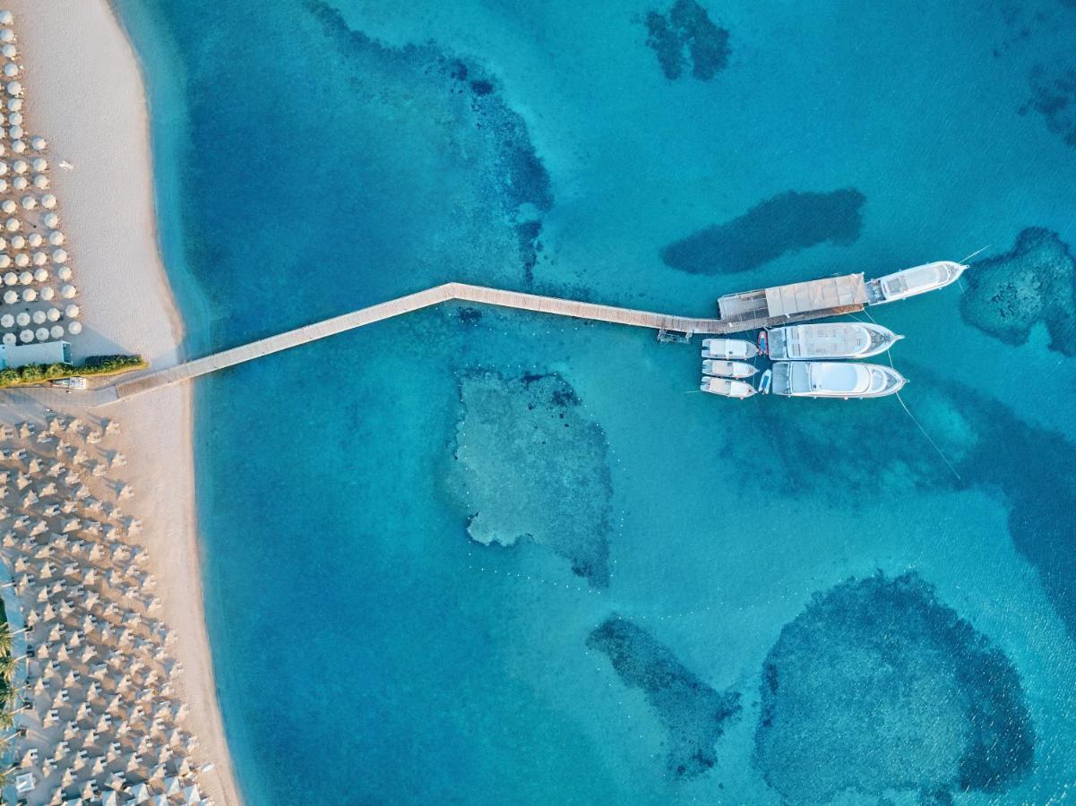 Jaz Aquaviva 5* Hurghada
