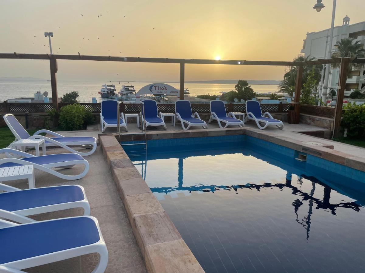 Serafy Center And Pool For Foreigners Adults Only Auberge de jeunesse Hurghada