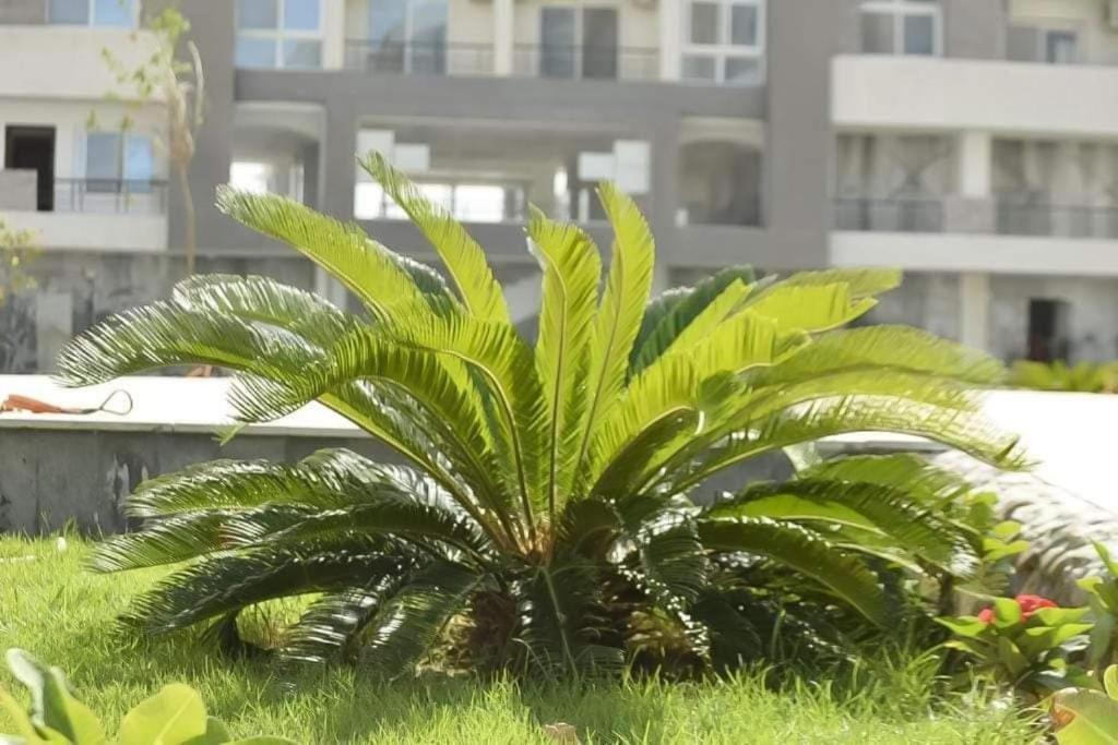 Fanadir Bay Apartment Hurghada