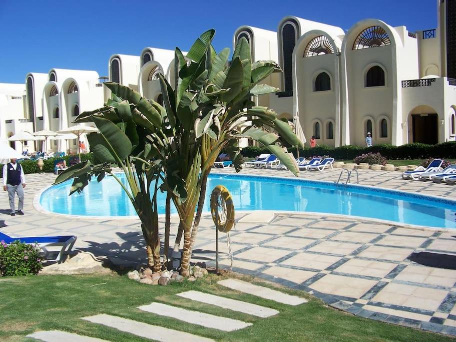 Apartment Buki-gravity-homes, App No2, Amazing Seaview In 5 Star Gravity Sahl Hasheesh-for Guests With Nonegyptian Passports