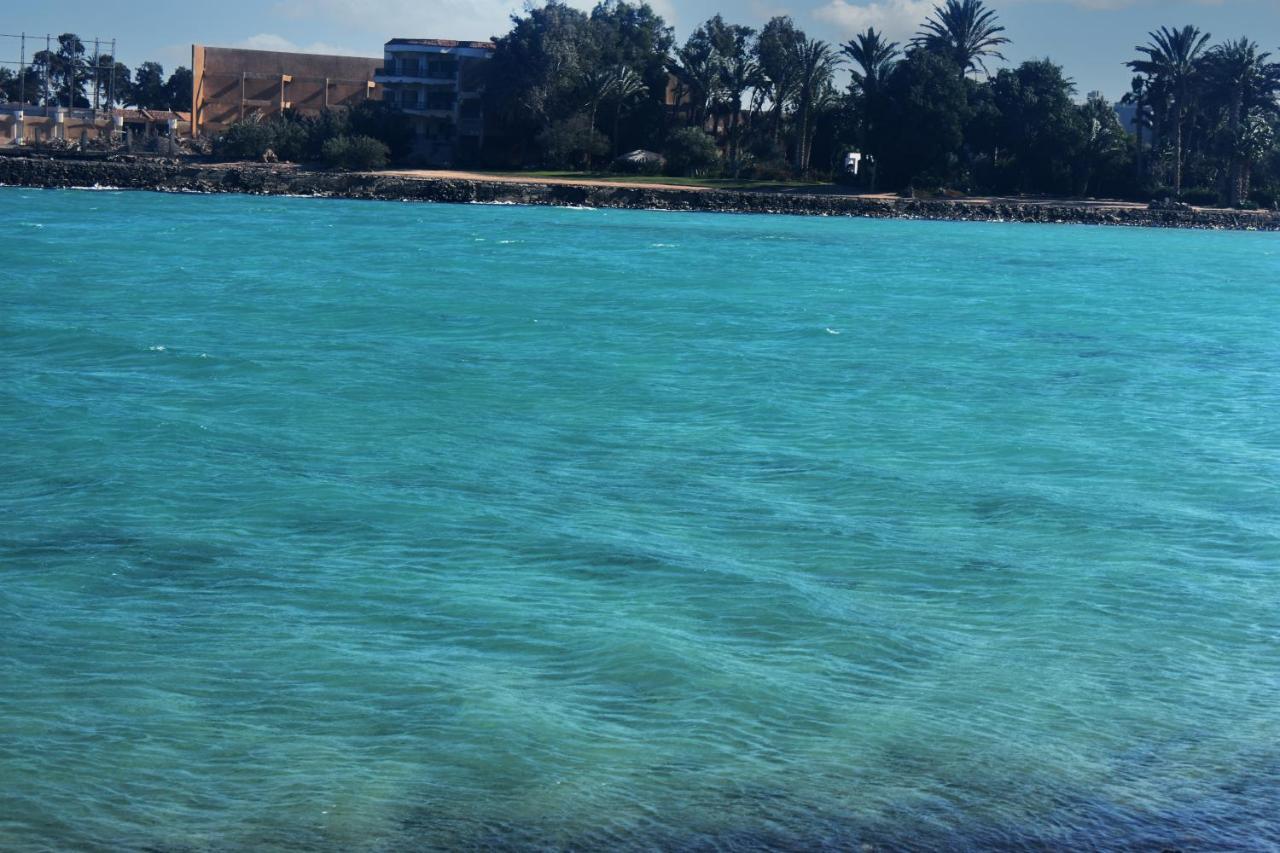 Ok Homes At Turtles D1.3 .9 * Hurghada