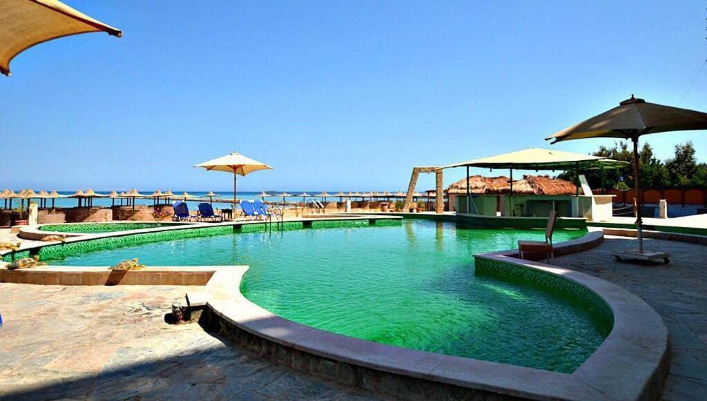 Ok Homes At Turtles D1.3 .9 * Hurghada