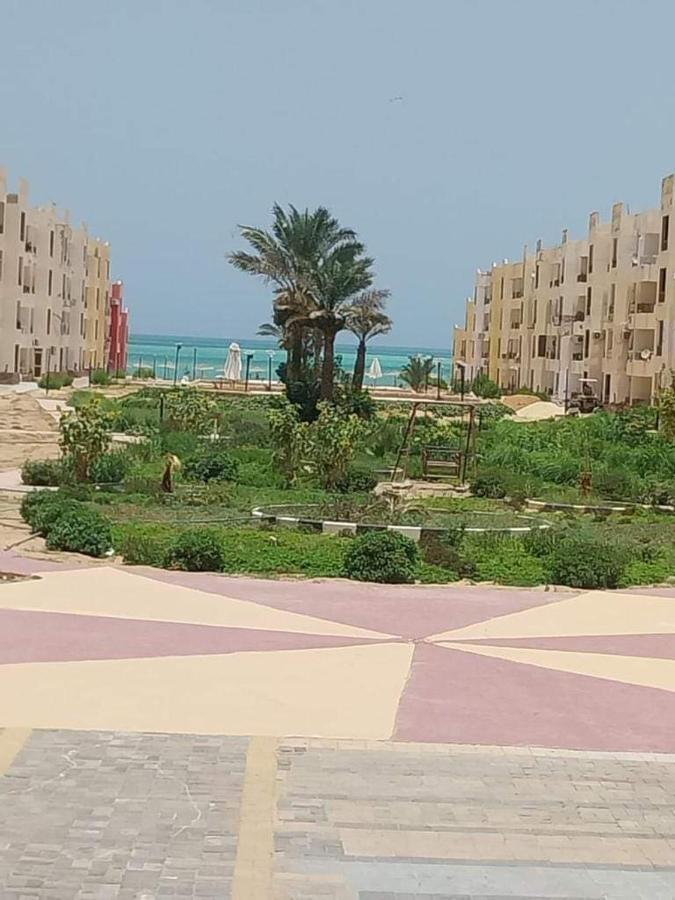 شاليهات للإيجار في الاحياء *