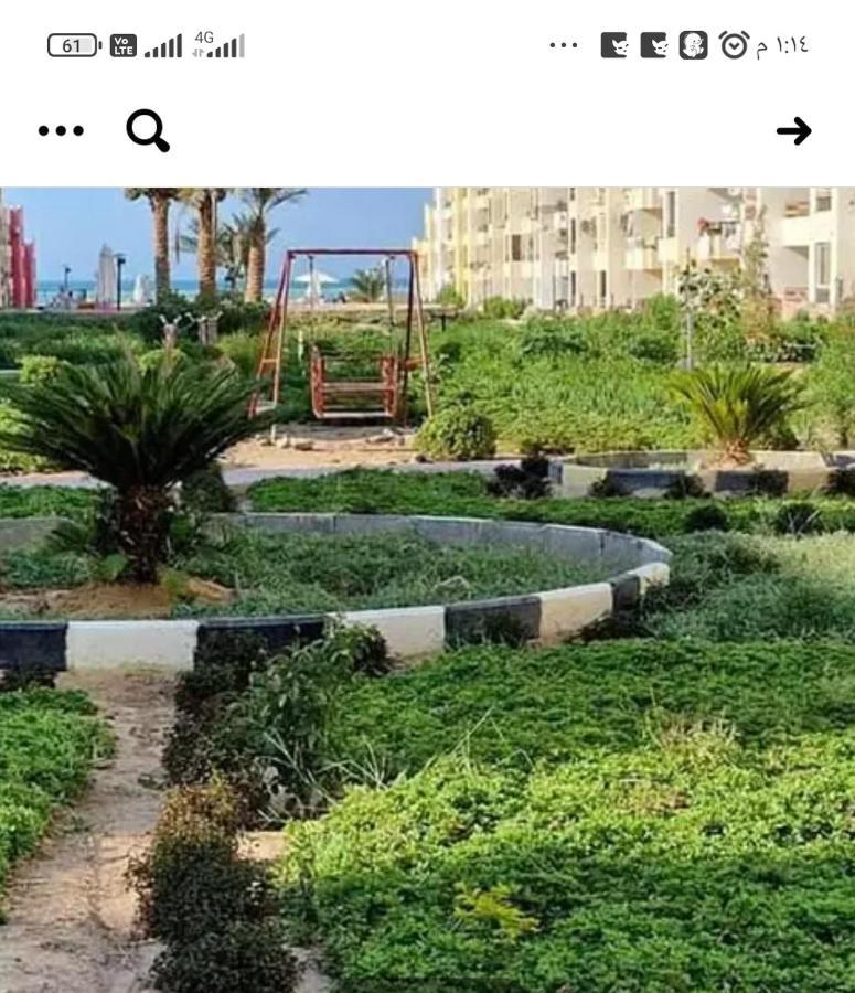 شاليهات للإيجار في الاحياء Apartment