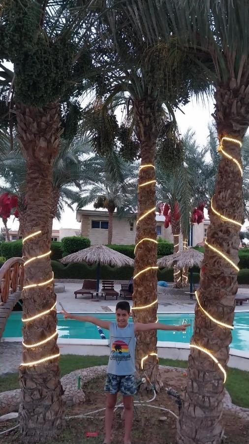Hotel Palma 3*