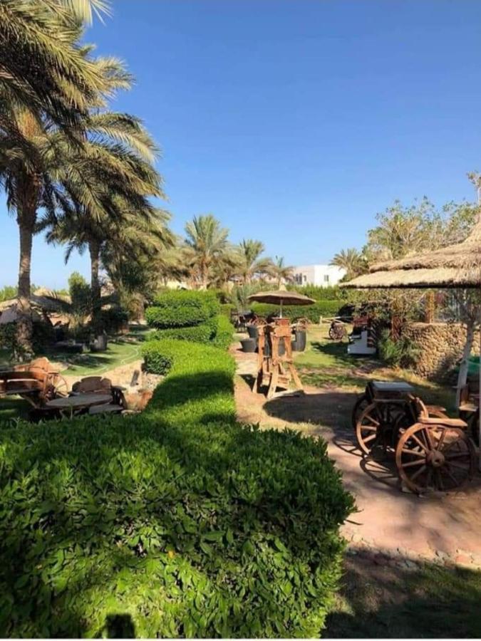 Hotel Palma 3*