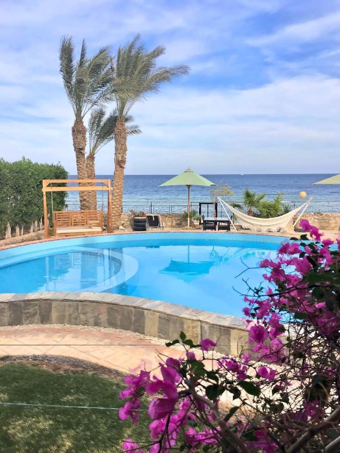 Lotus Hurghada