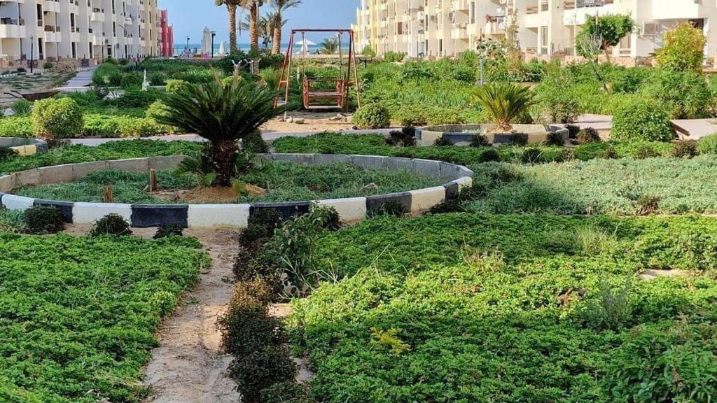 Summer Land Apartment Hurghada
