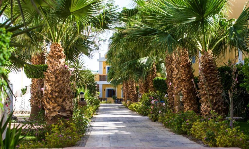 Mirage Bay@resort&aquapark * Hurghada