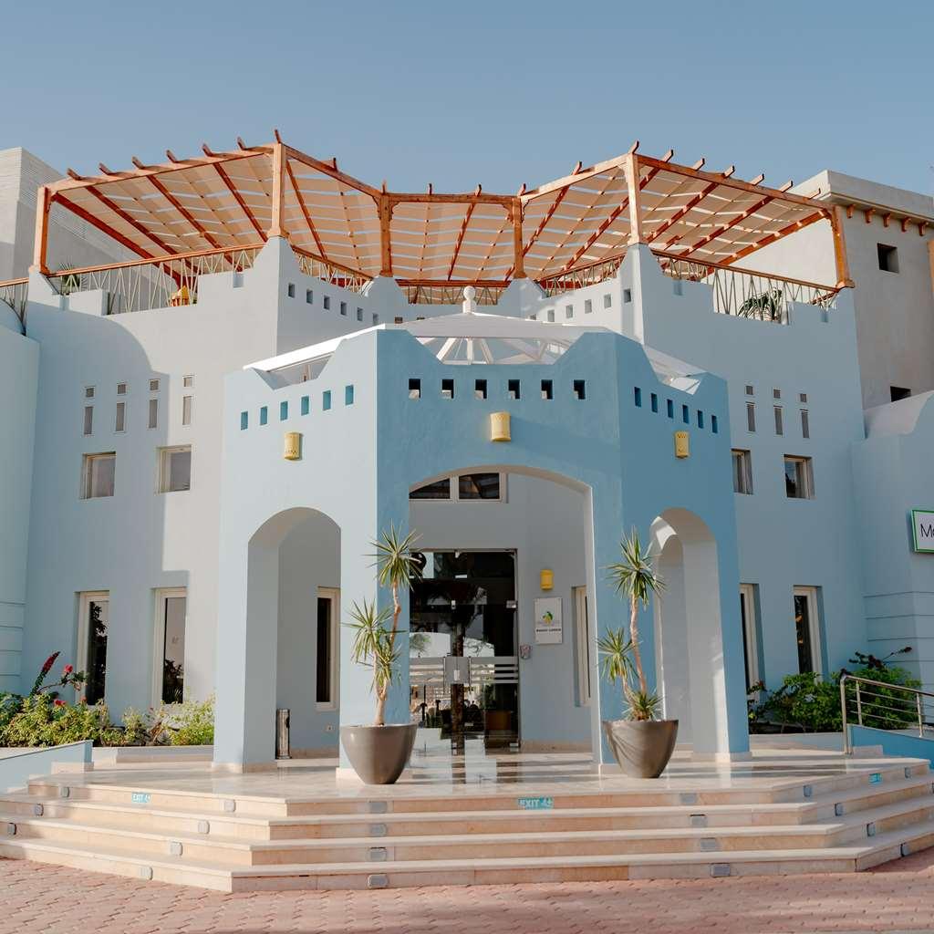Station touristique Lemon & Soul Makadi Garden (adults Only)