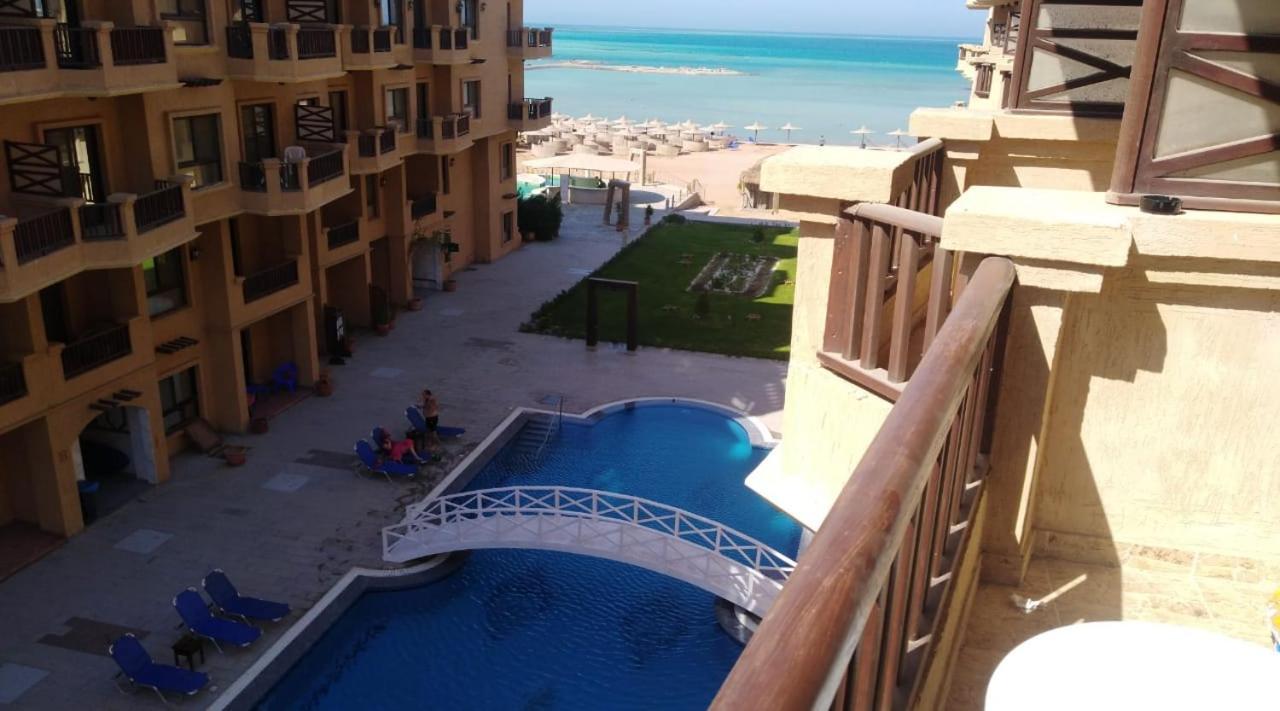 Turtles Hurghada