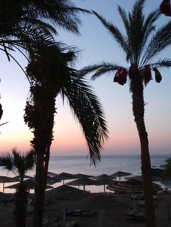 On The Hurghada
