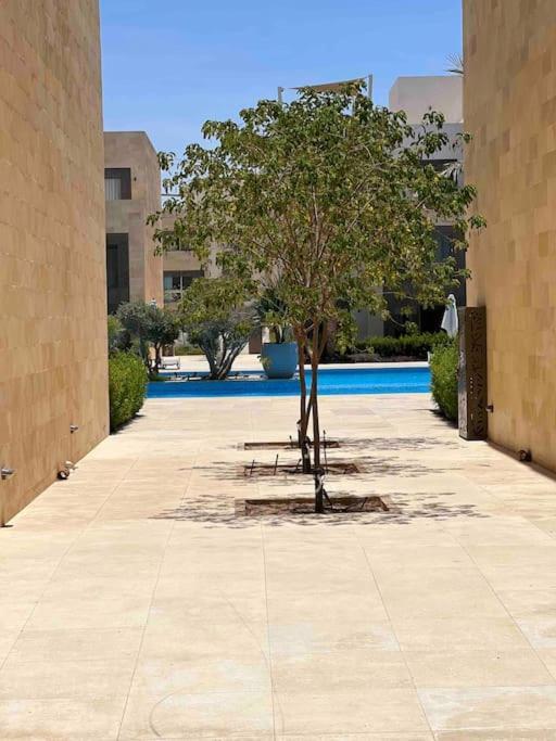 Appartement One Bedroom - Mangroovy El Gouna *