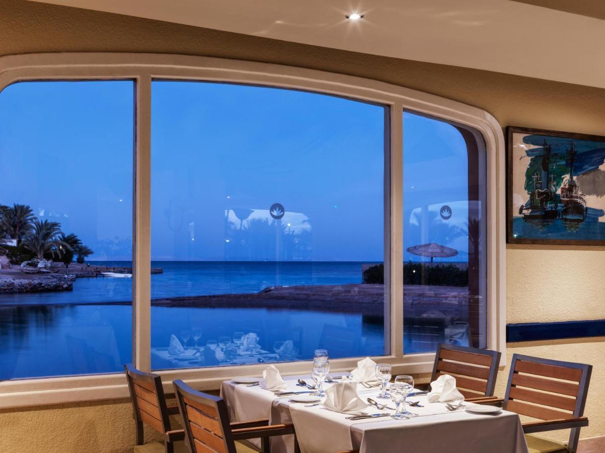Club Paradisio El Gouna Red Sea Station touristique Hurghada