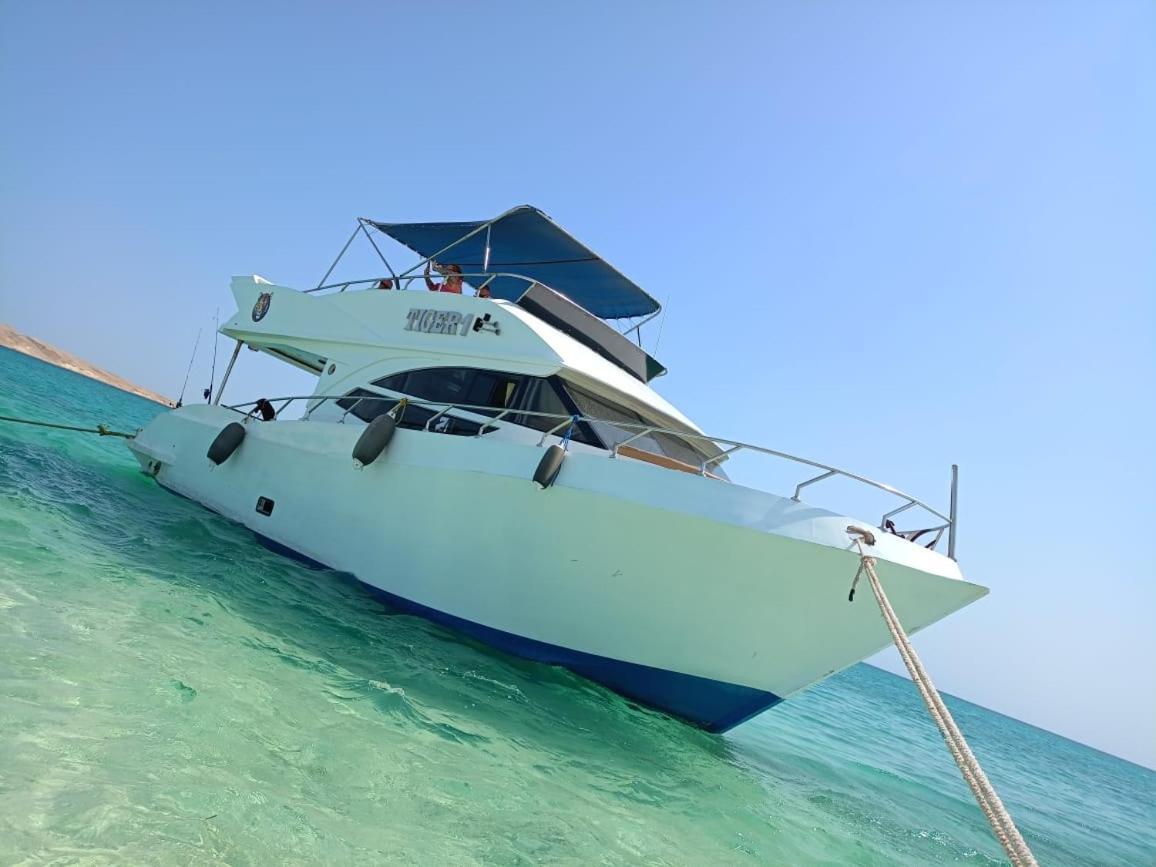 Botel Tiger *