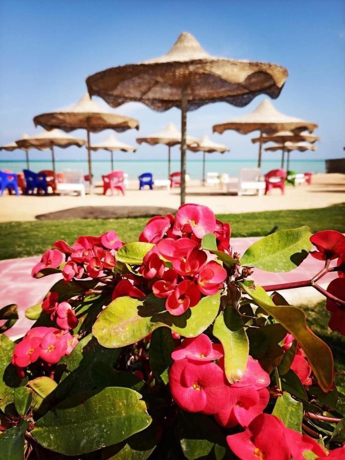 Casablanca Apartment Hurghada