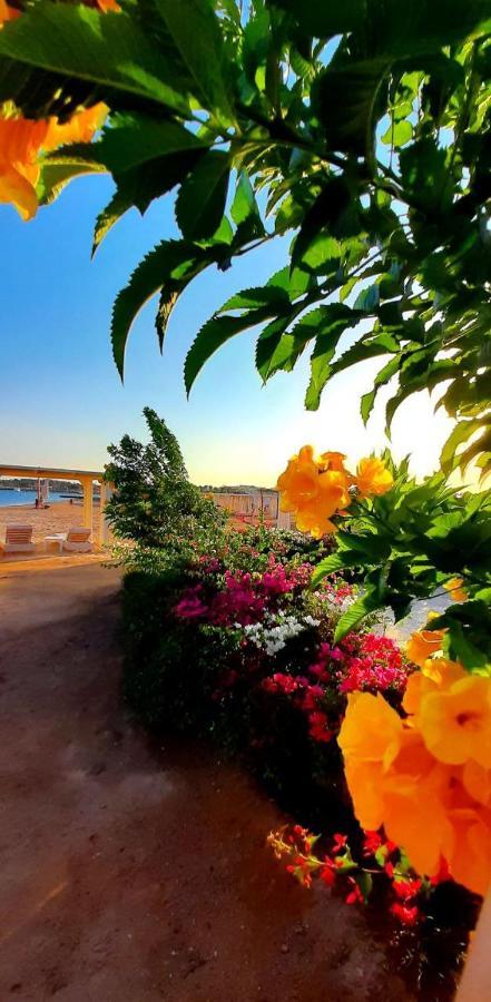 Princess Resort, Mamsha - 851 *