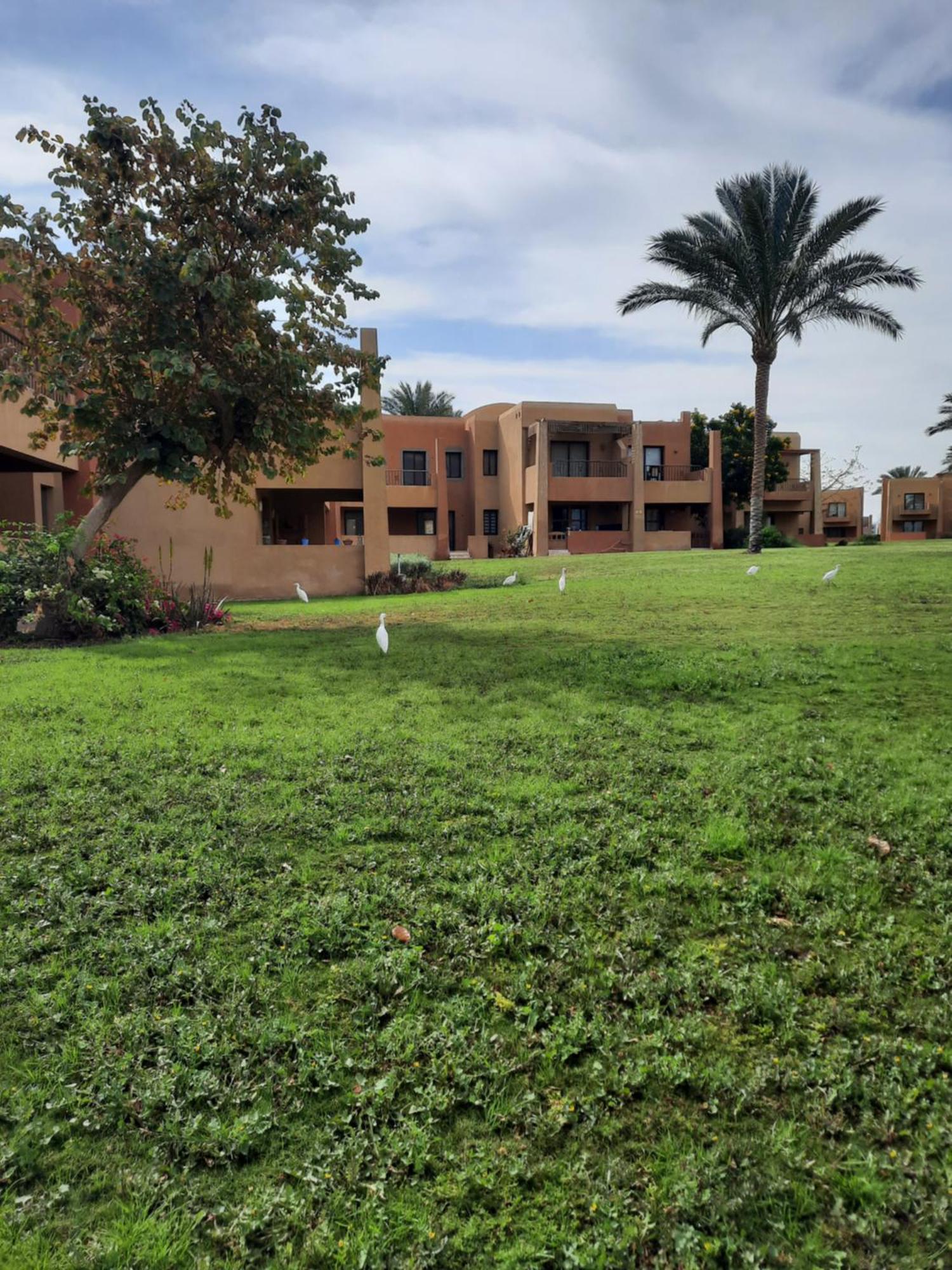 Apartment Challet In Stella Makadi *