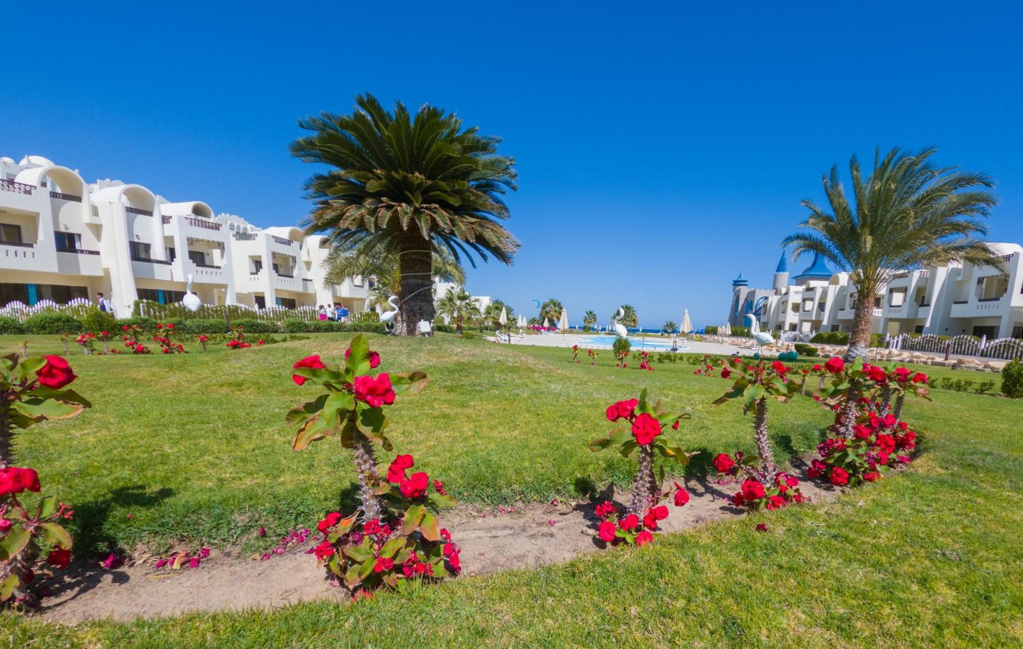 Buki-gravity-homes: Beachfront Luxury In Sahl Hasheesh * Hurghada