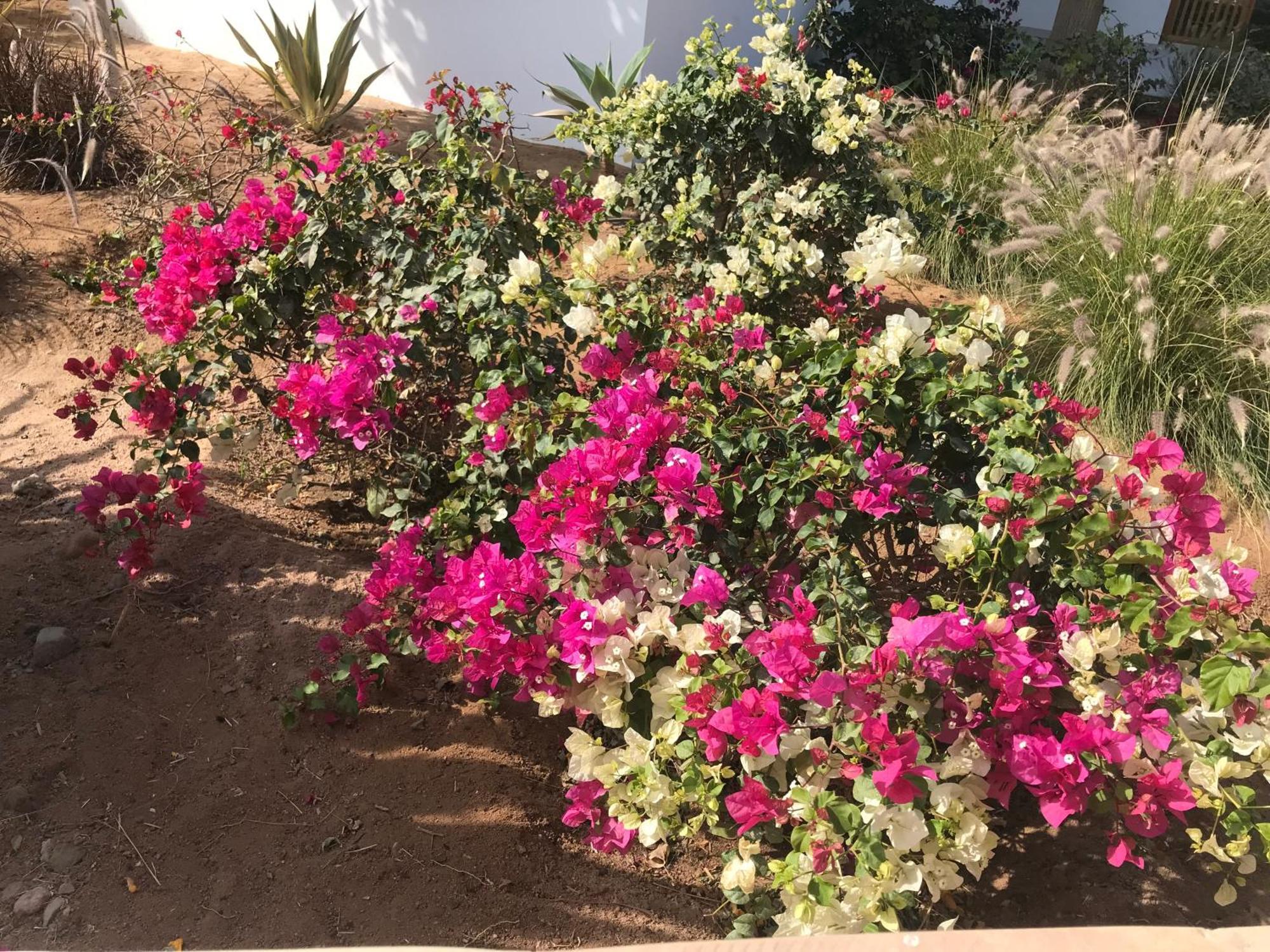 El Gouna Swan Lake I Direct Lake View I 3 Master Bedrooms Chalet Hurghada