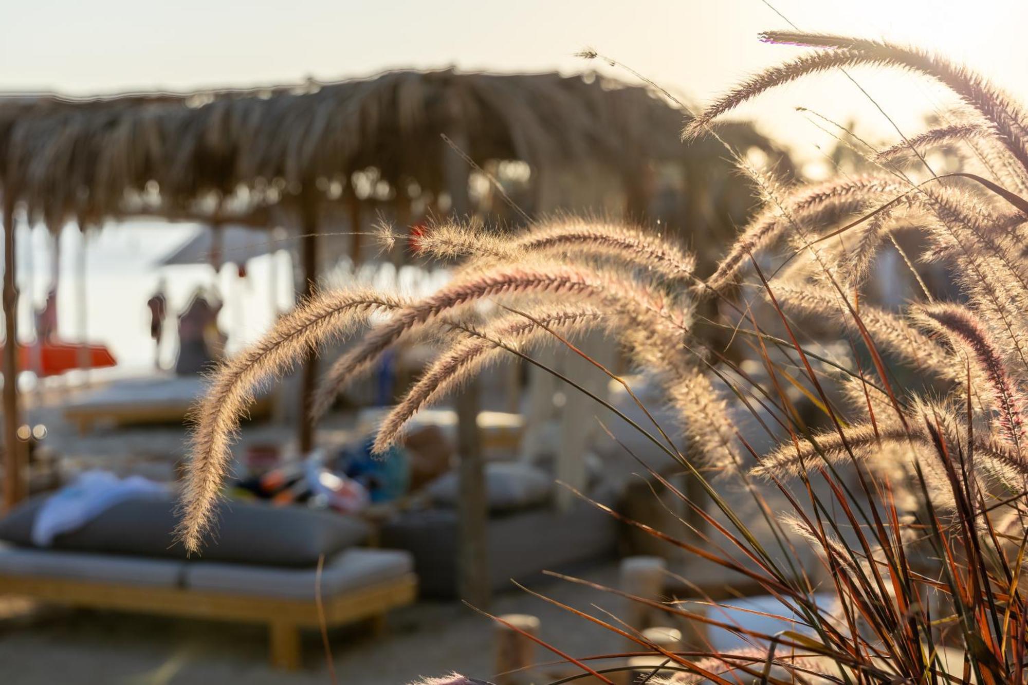 Arabesque Resort, & 4*