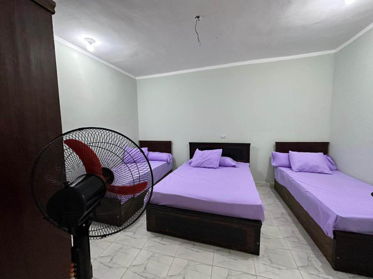 Skylen Hostel