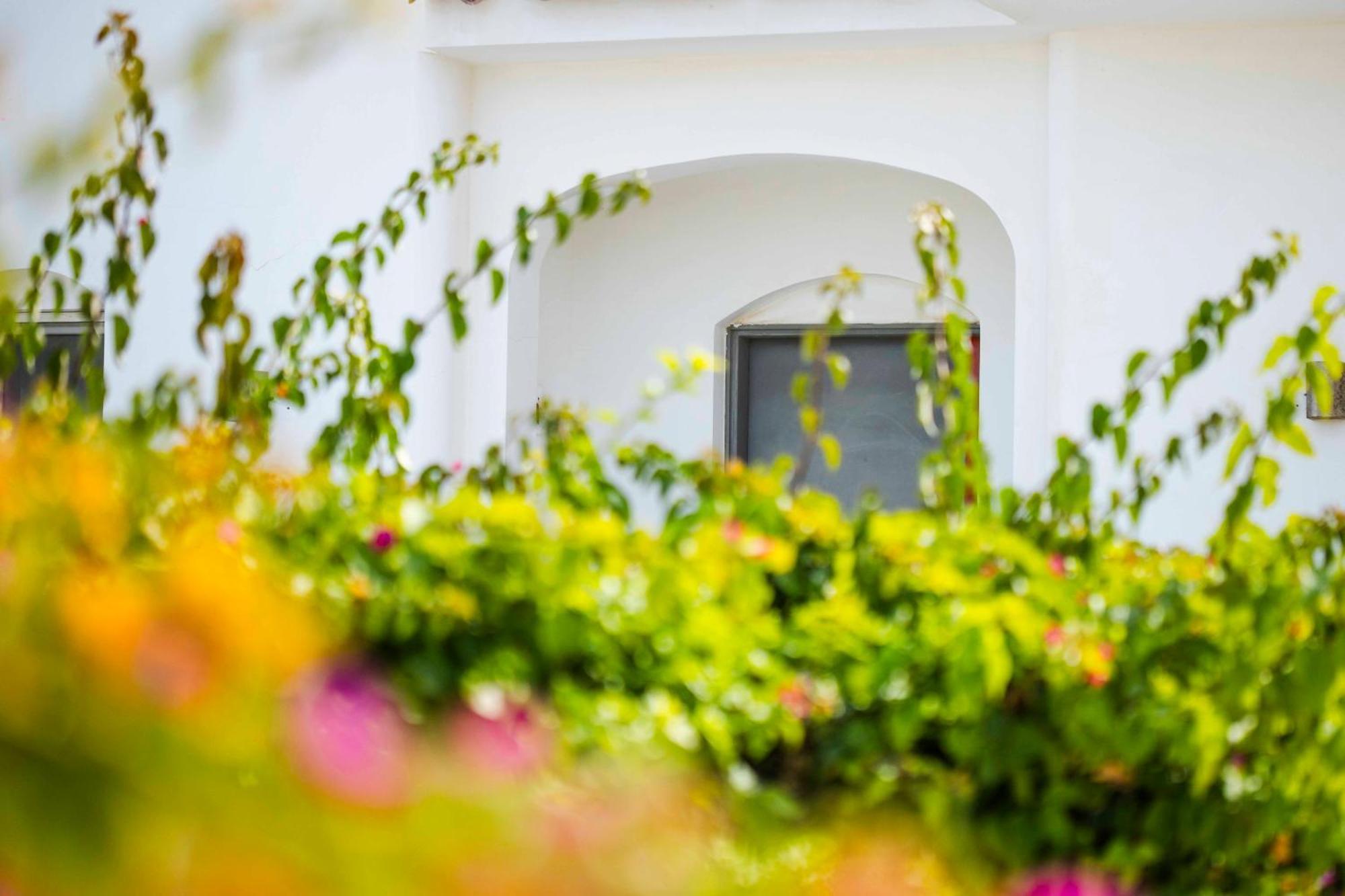 El Gouna Elite Worldwide Private Residences, Sea & Garden View - Hurghada, Egypt Appartement Hurghada