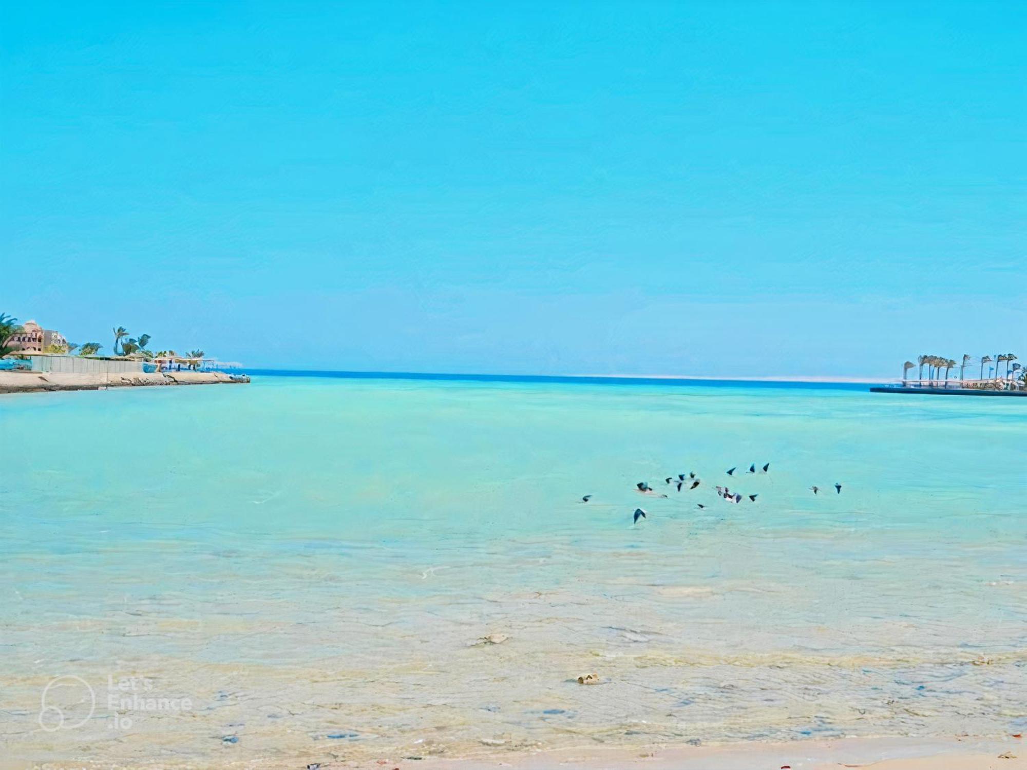 Appartement Scandic Ssv- Private Sandy Coral Reef Retreat With Free Wi-fi