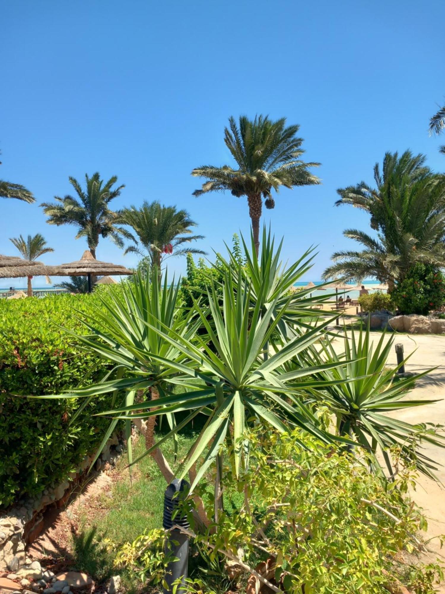 Palma Hurgada,8p4j22q, Palma Resort, K75, Al Ismaileya, * Hurghada