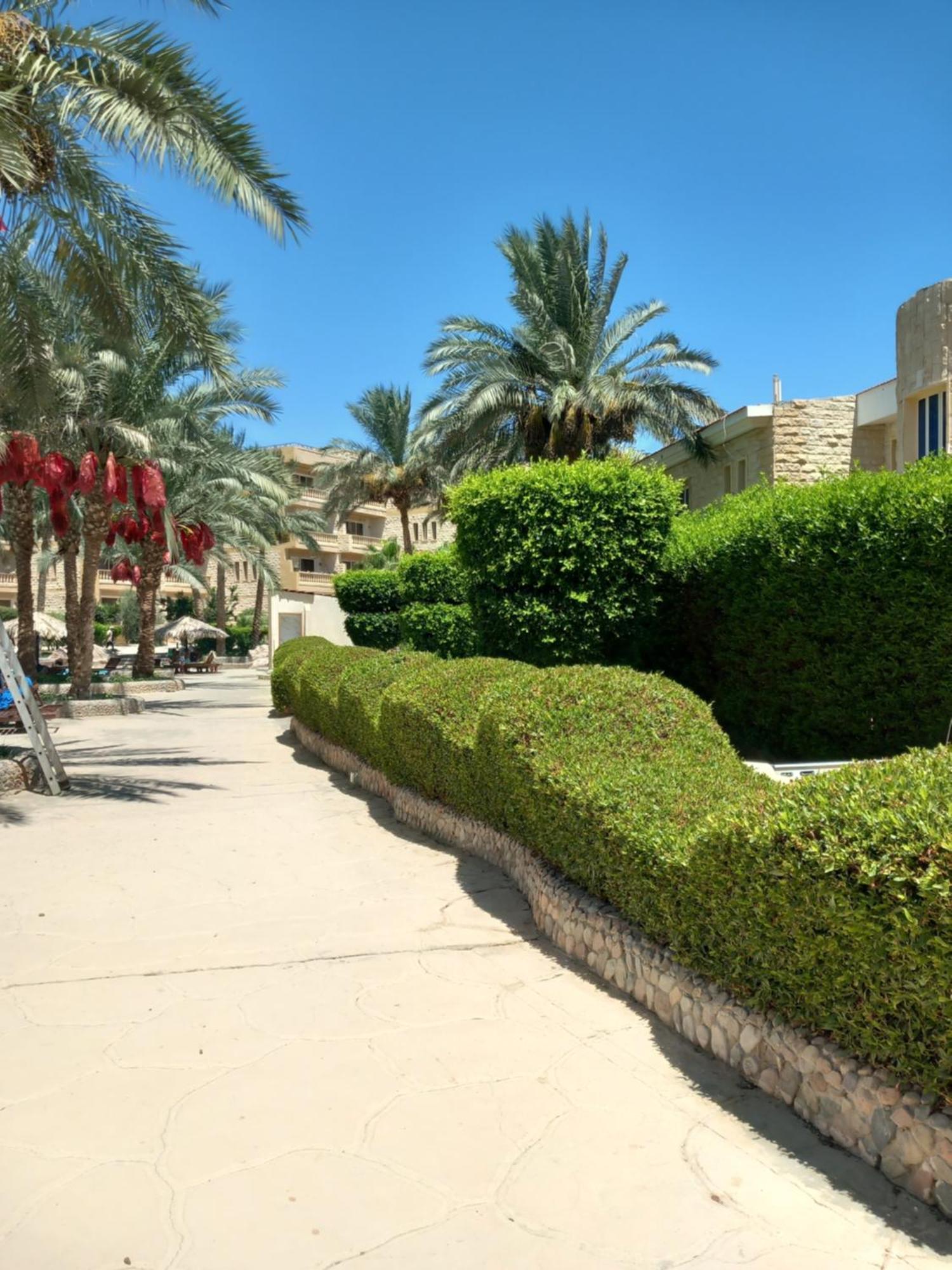Palma Hurgada,8p4j22q, Palma Resort, K75, Al Ismaileya,