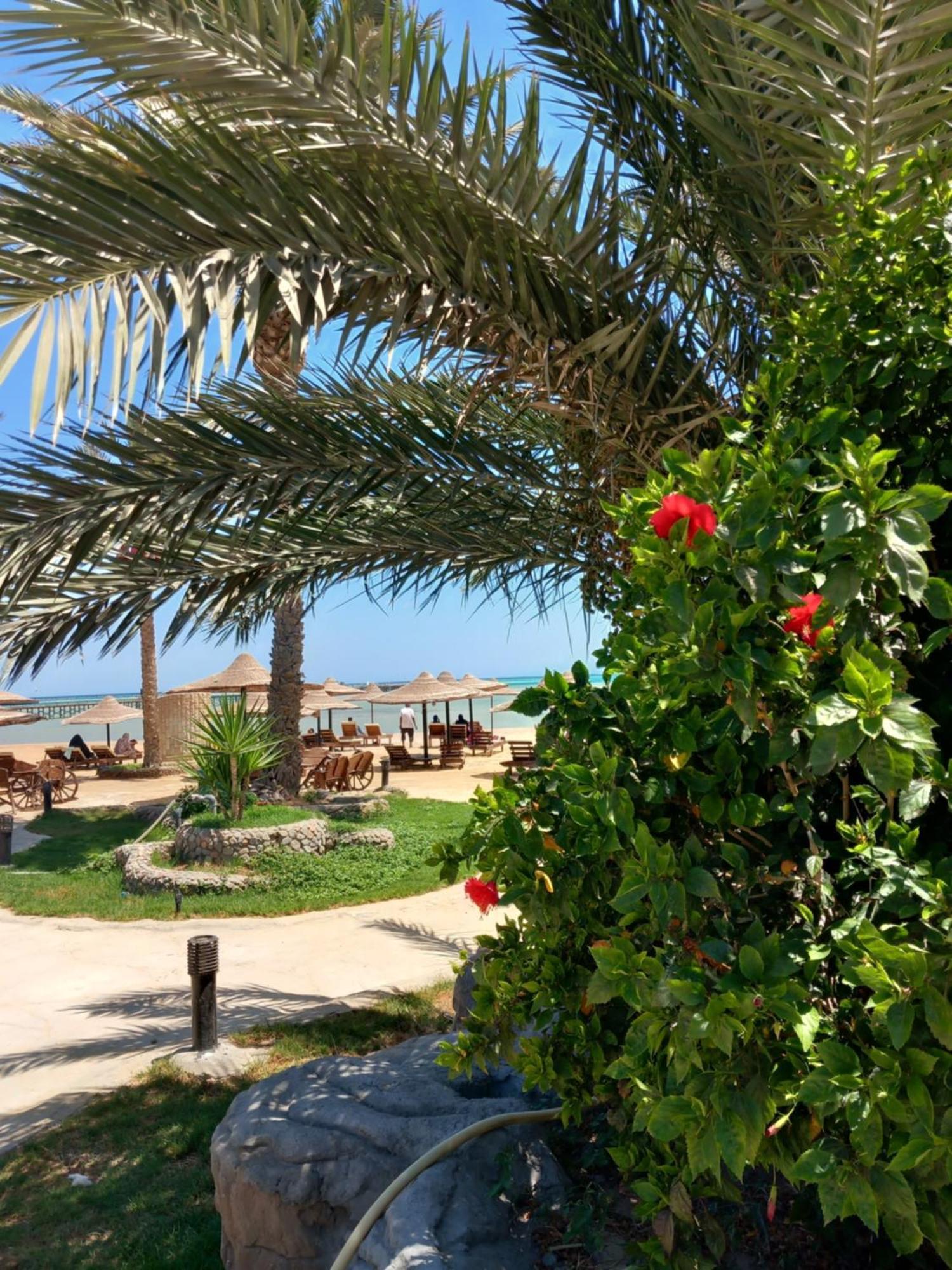 Palma Hurgada,8p4j22q, Palma Resort, K75, Al Ismaileya, Apartment Hurghada