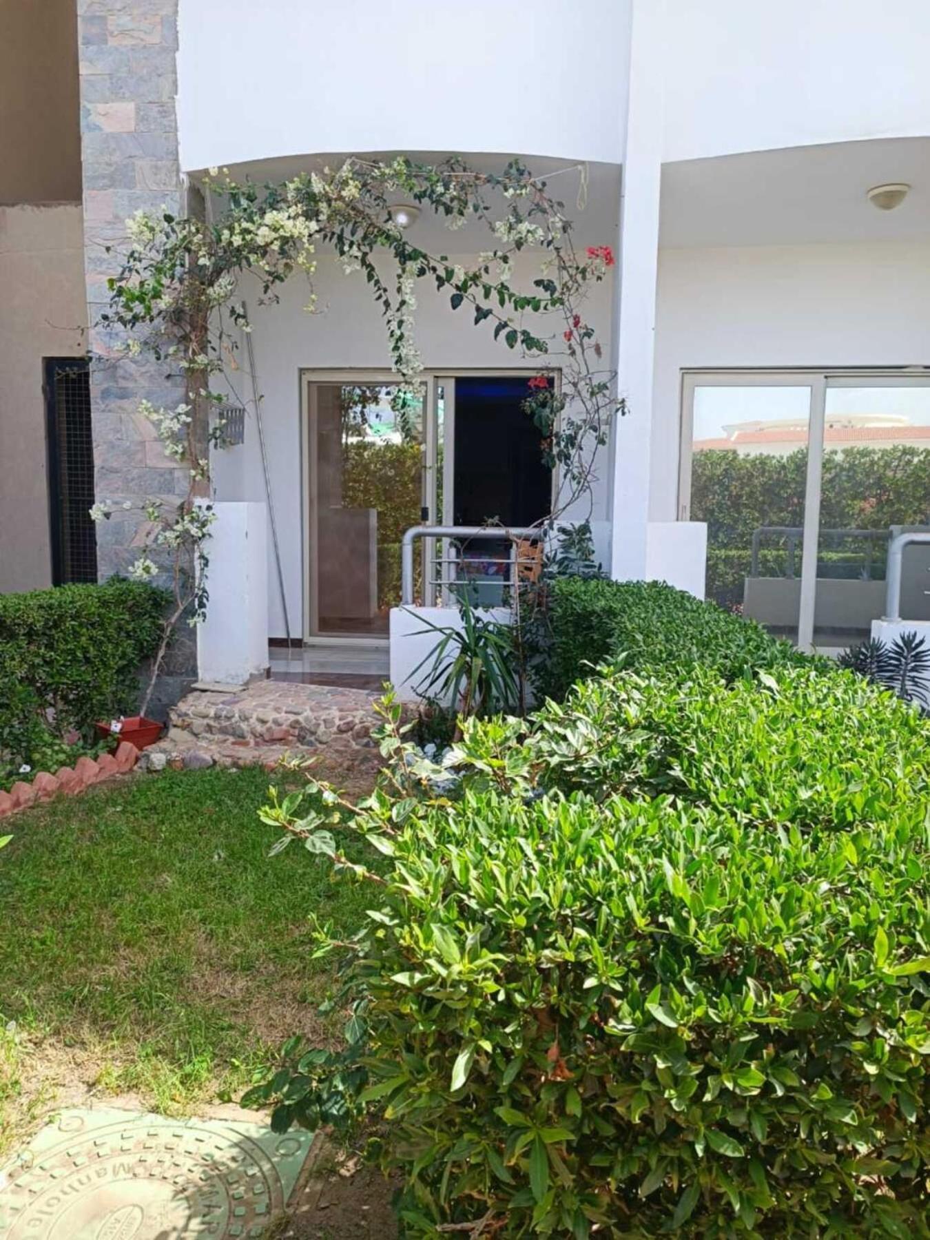 Harmony Sunny With Wi-fi Apartment *