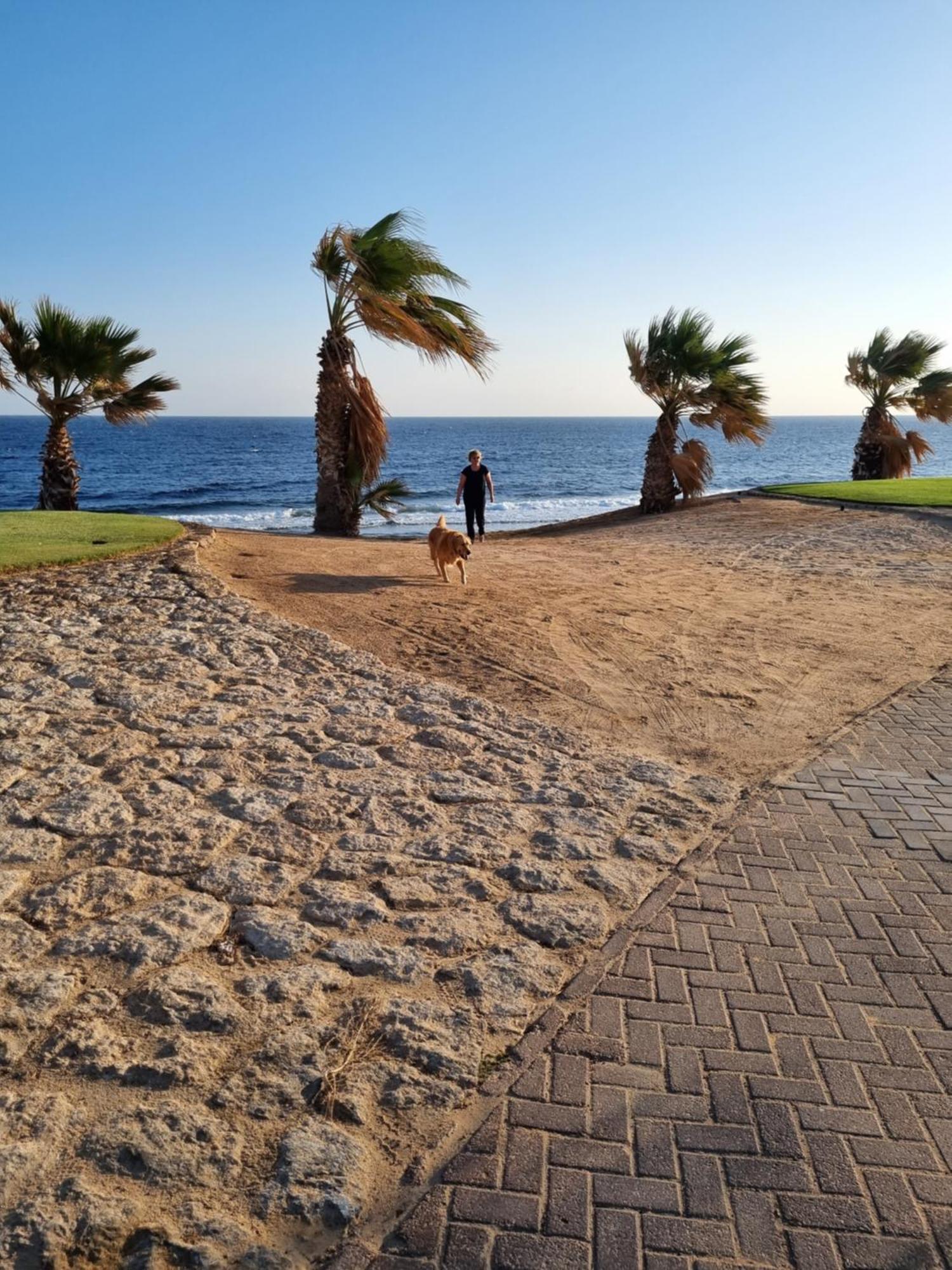 Wadi El Jebal *