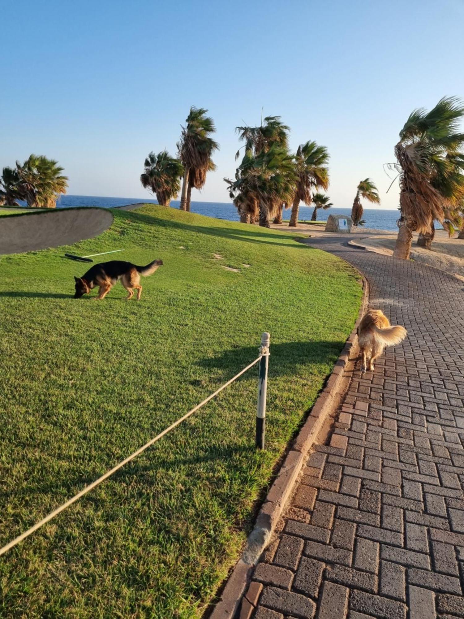 Wadi El Jebal * Hurghada
