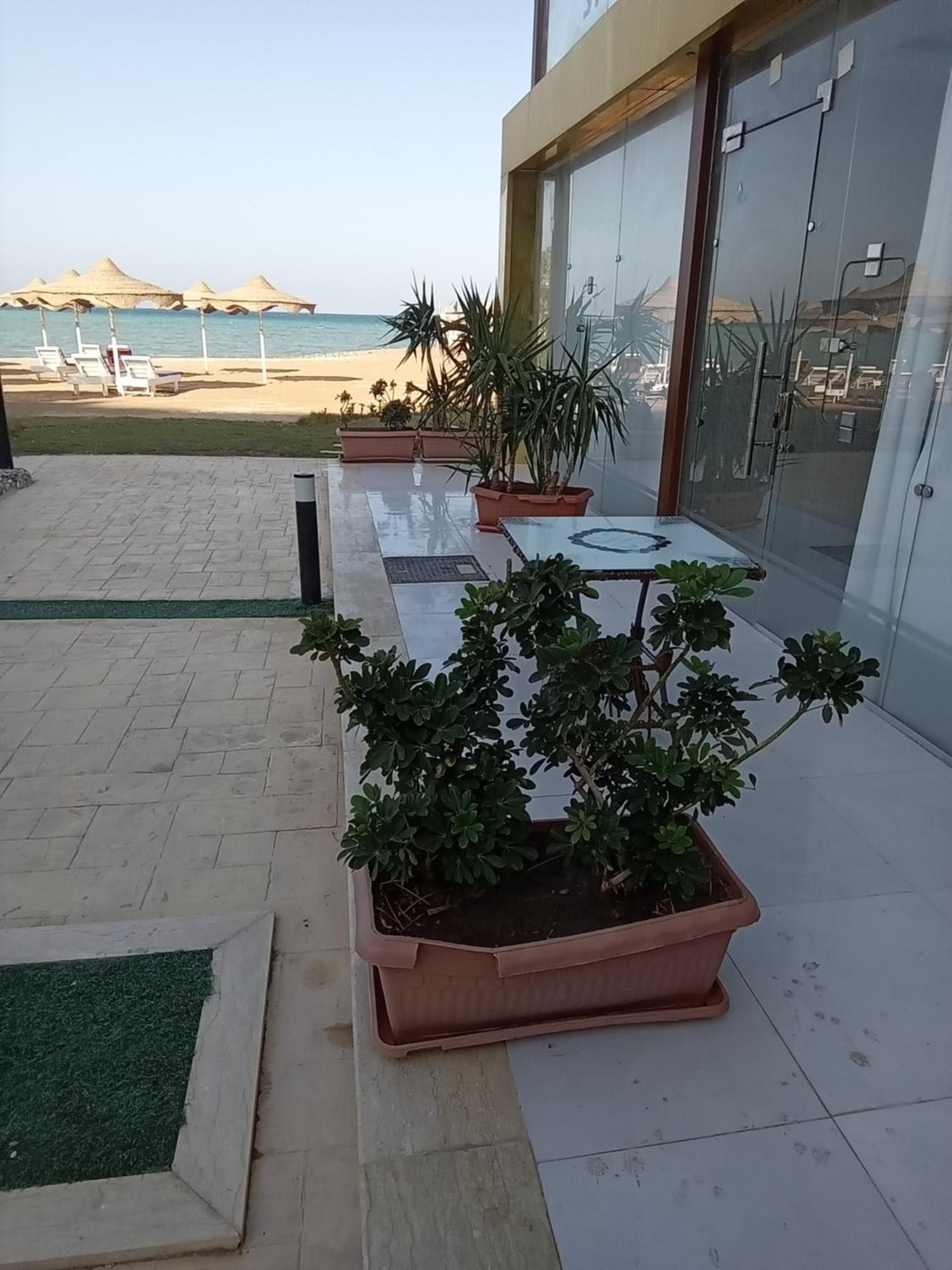 Casablanca Star For Families And Couples Only Hurghada