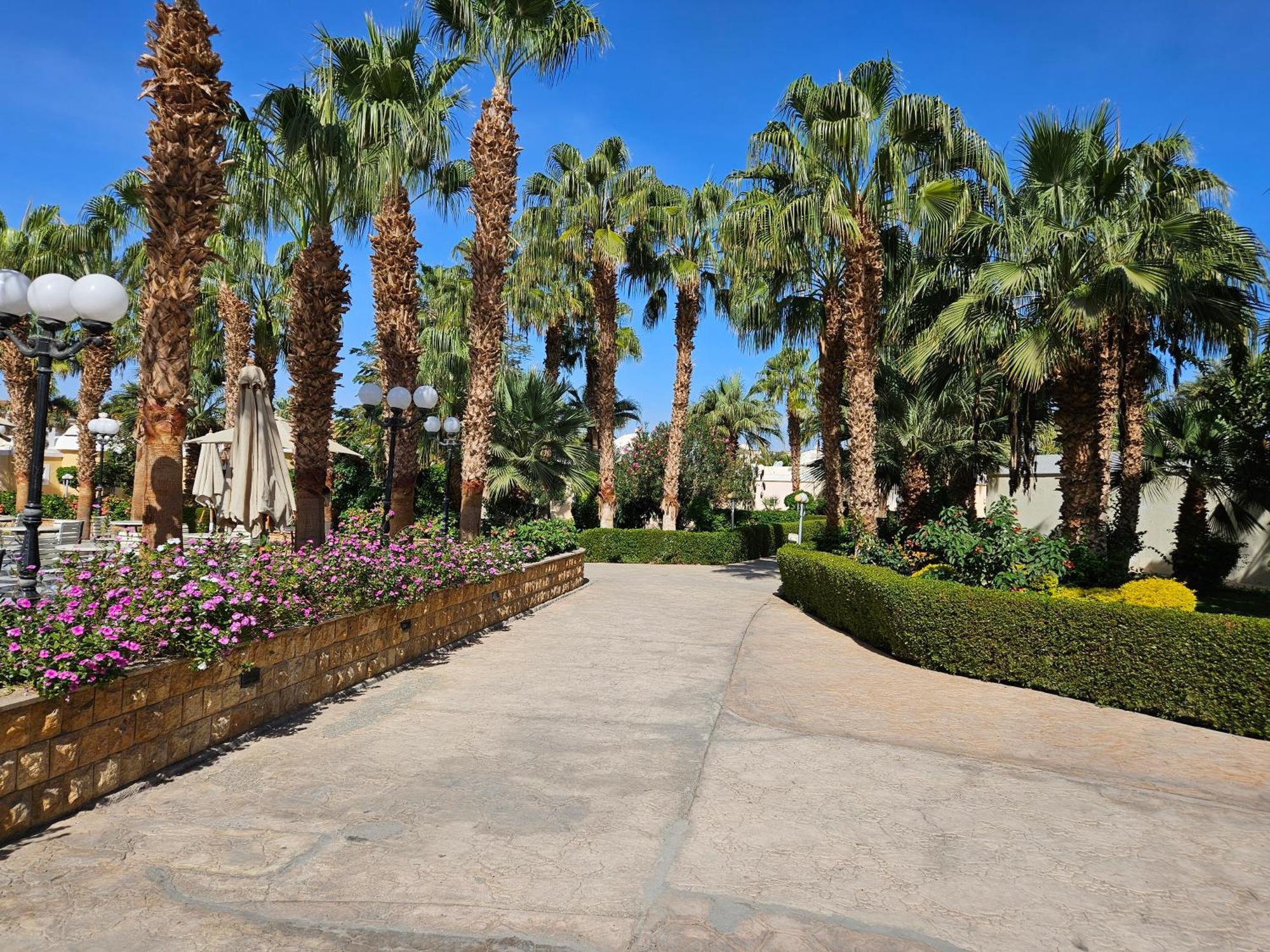 Apartment Noura Luxury With Free Pool And Access In *