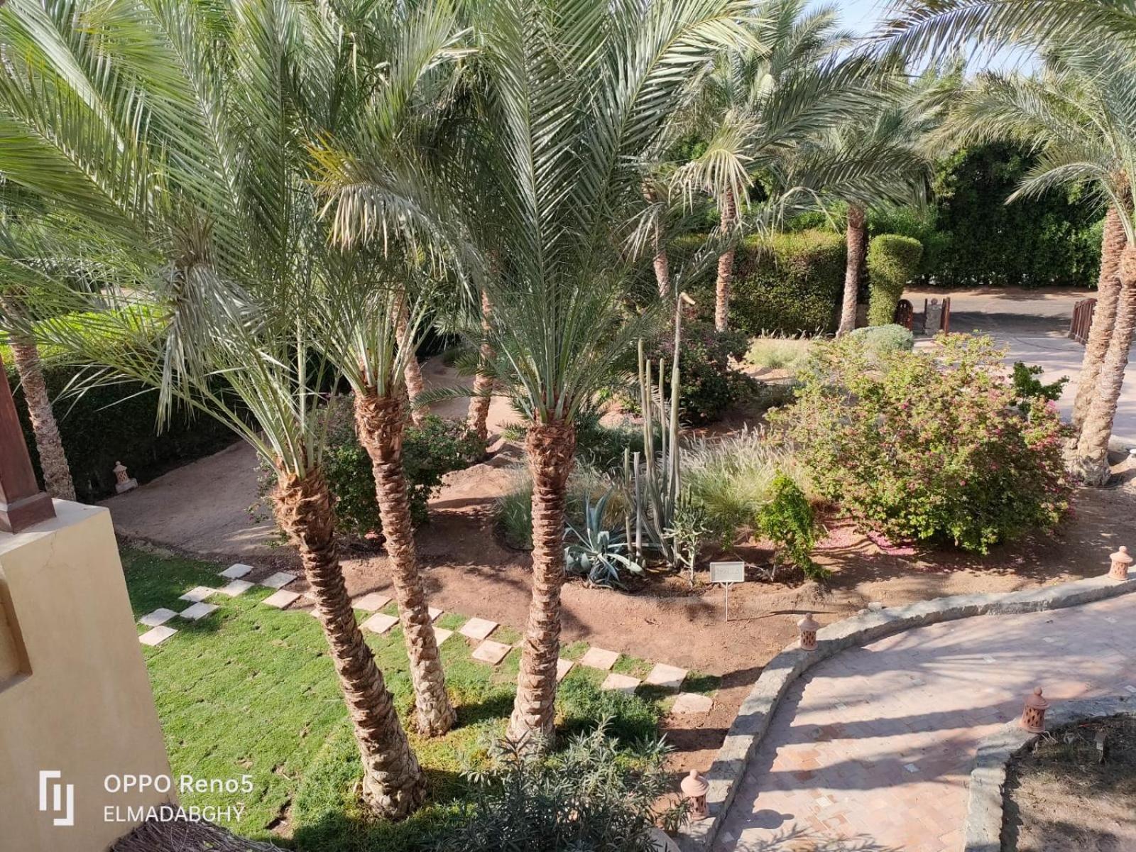 Villa 9 Ph-5 With 4 Bed *