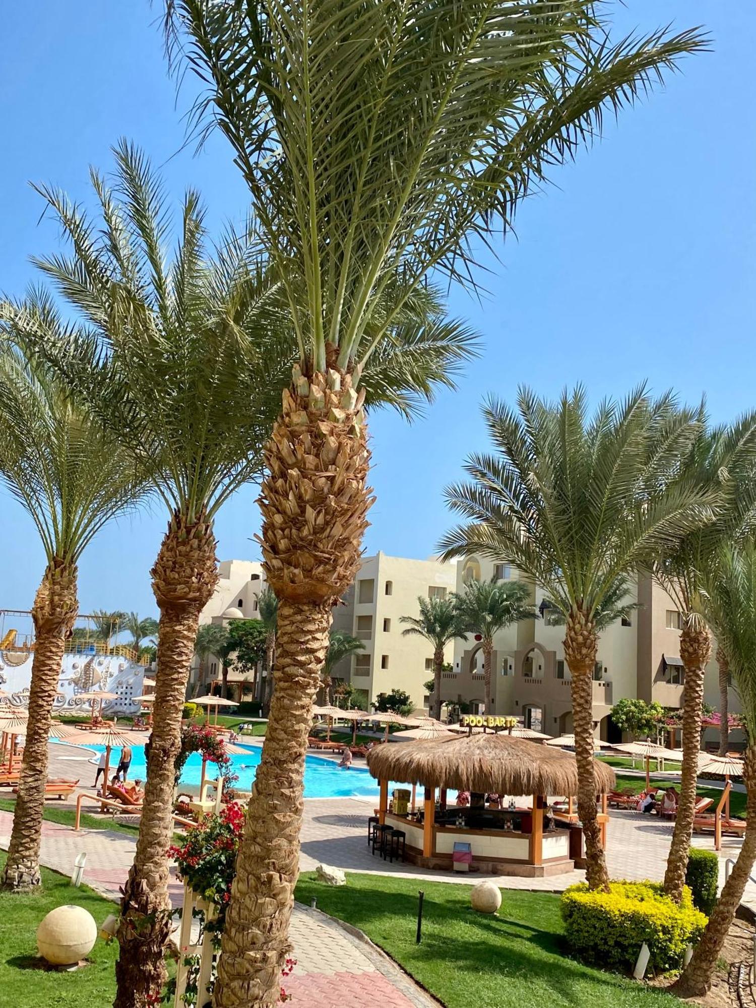 In El Karma Aqua Near El Gouna * Hurghada