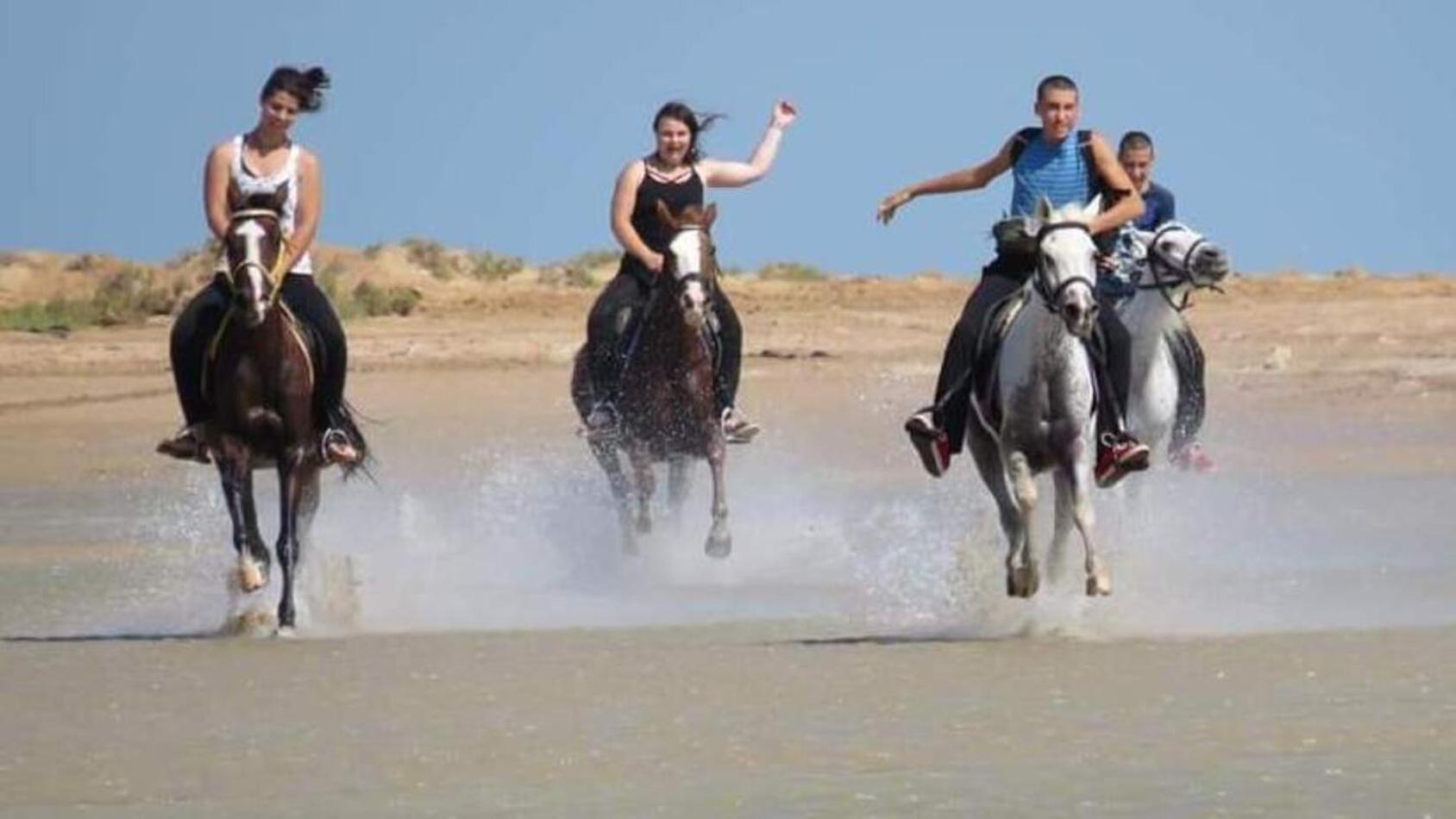 Royal Resort, Hurghada