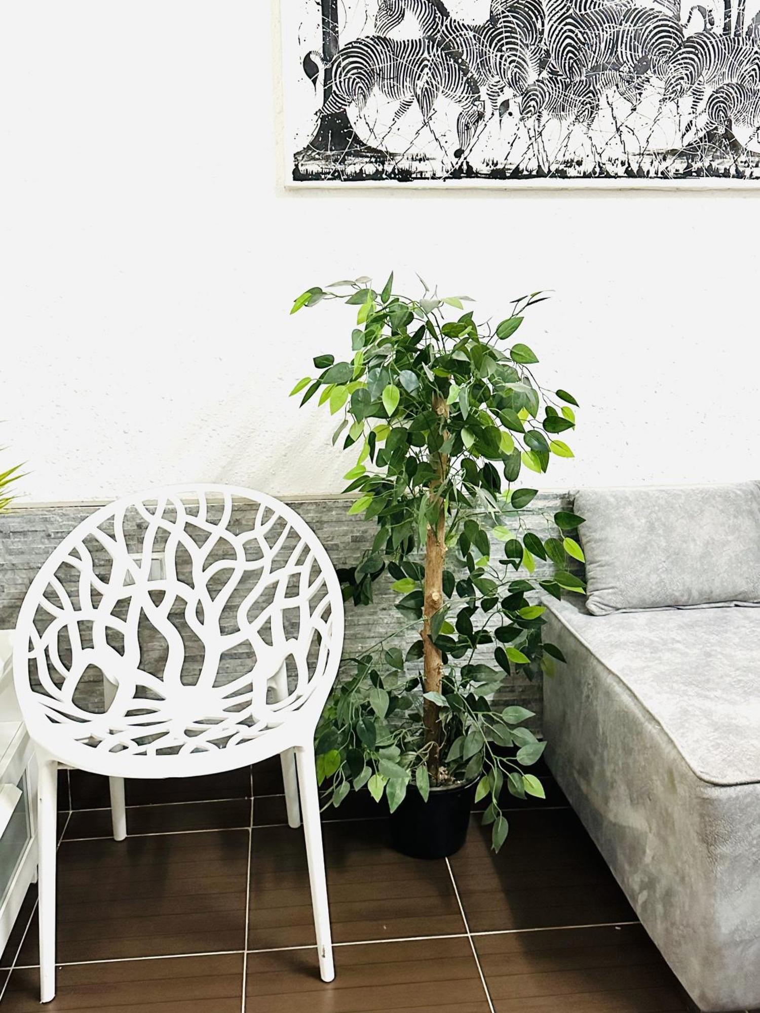 Zebra House Center Apartment *