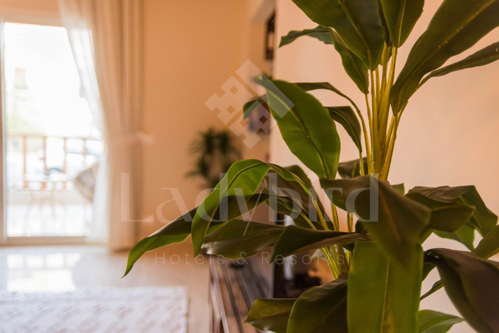 Ladybird - Azzurra Beauty Appartement Hurghada