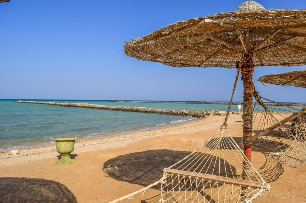 Ok Homes At Turtles D1.3 .9 * Hurghada