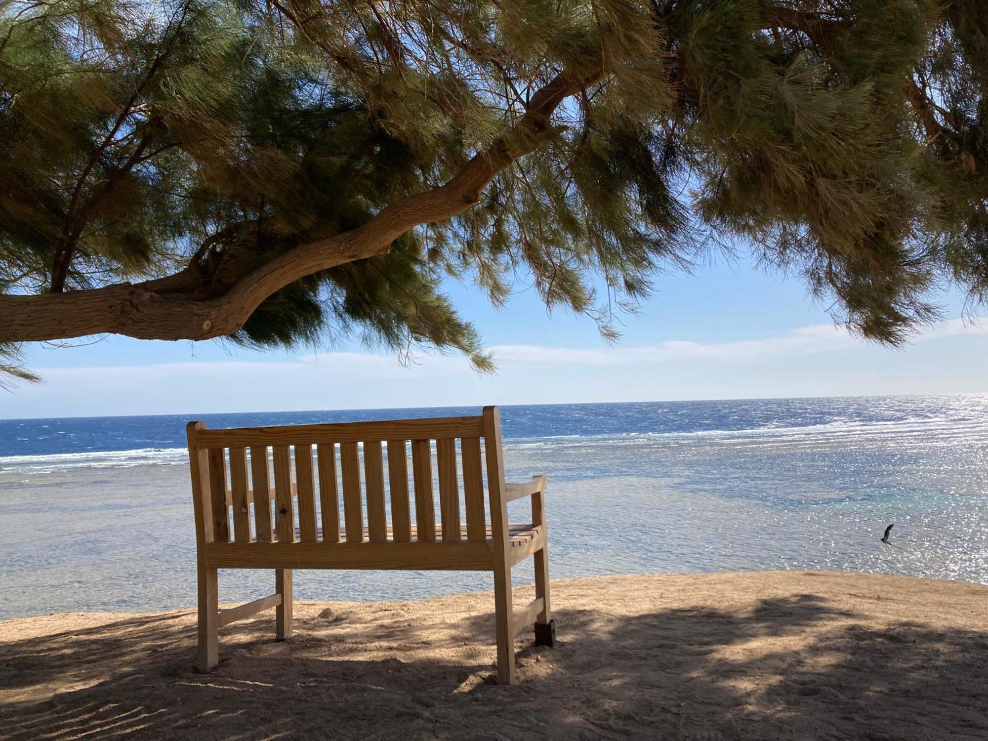 Soma Bay Seafront Apartment Hurghada