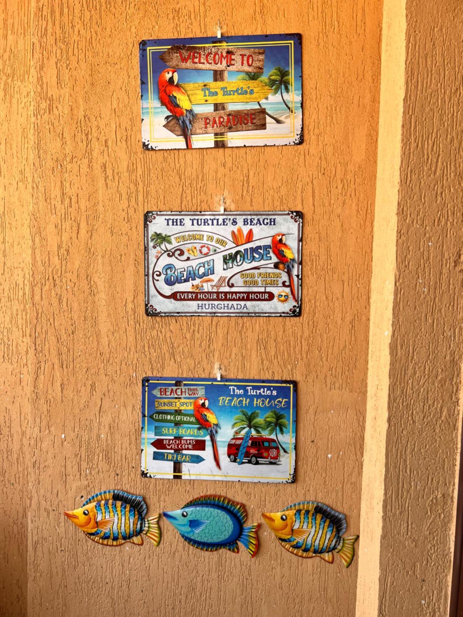 Turtles