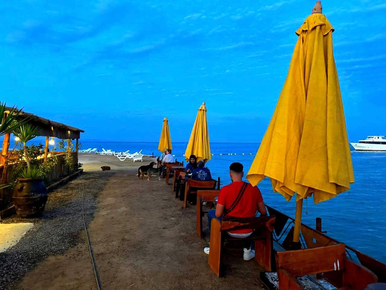 Davinci Hotel 3*